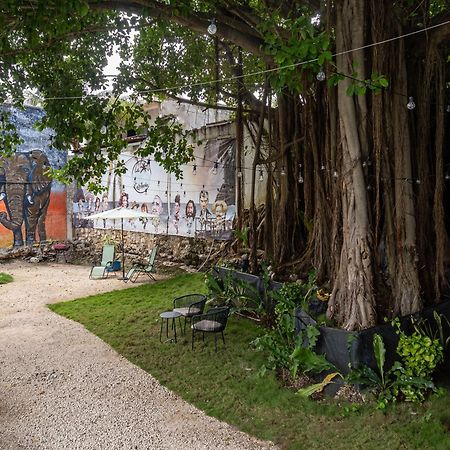 Appartement La Quinta Caribena à Playa del Carmen Extérieur photo