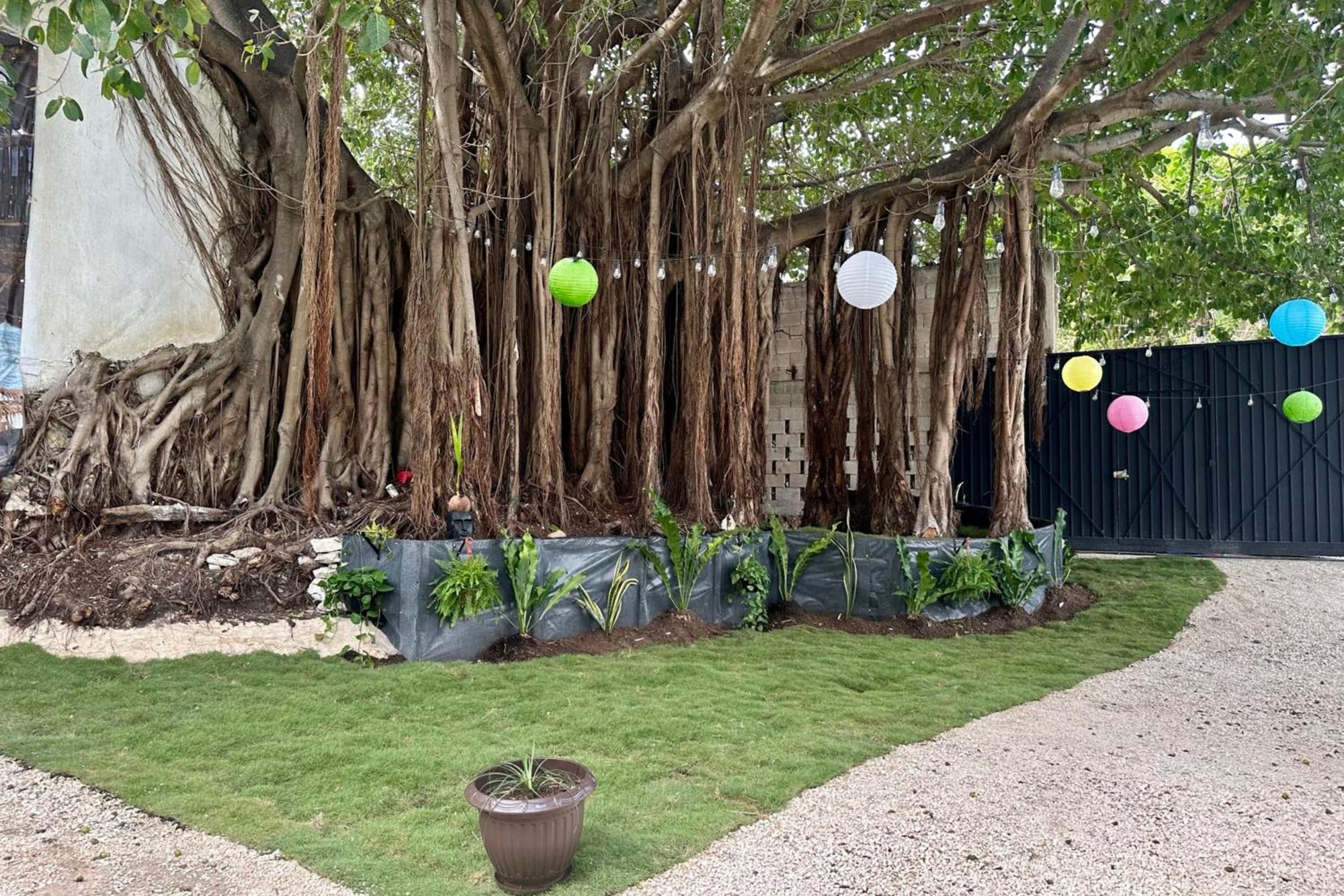 Appartement La Quinta Caribena à Playa del Carmen Extérieur photo